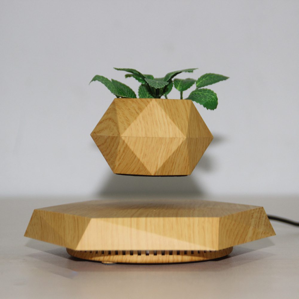 Levitating geometric wooden planter with a green bonsai plant above a matching wooden base.
