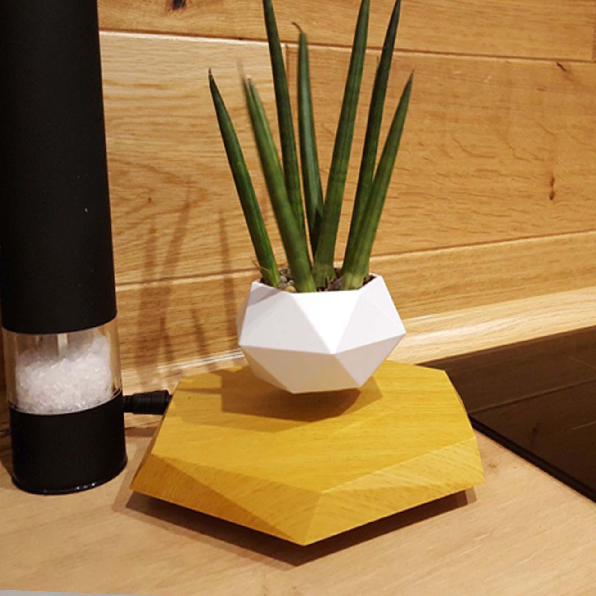 White geometric levitating planter with a green plant above a wooden base.