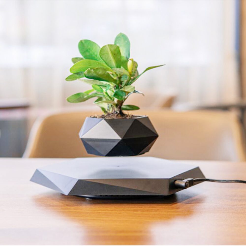 Black geometric levitating planter with a green plant floating above a matching base.