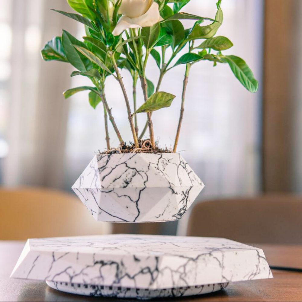 Marble-patterned levitating planter with a green plant above a matching base.